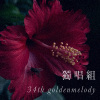 34_独唱组_世新大学_新闻学系延一甲_丁小恬