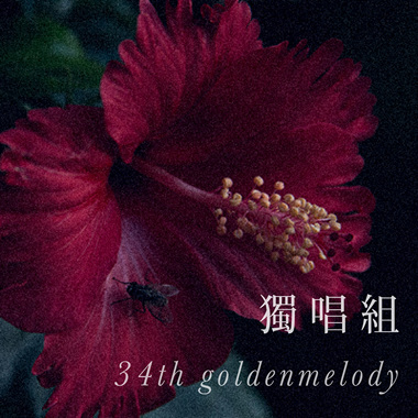 34_独唱组_世新大学_新闻学系延一甲_丁小恬
