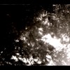 Sparrow Lin(林雀)-纷数 RE Counting