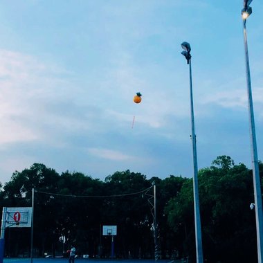 黑凤梨-序