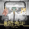 月月圆舞曲