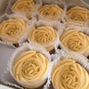 Yellow Roses