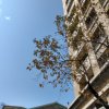 回家路上经过一家臭豆腐店叫独臭之家但是还不能内用，外带搭公车真的很像臭水沟味，还好公车上都没有人，真的有够臭哈哈哈( *╹ڡ╹* )