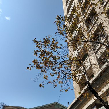 回家路上经过一家臭豆腐店叫独臭之家但是还不能内用，外带搭公车真的很像臭水沟味，还好公车上都没有人，真的有够臭哈哈哈( *╹ڡ╹* )