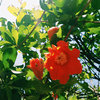 summer time