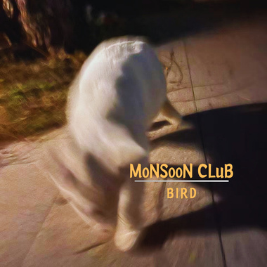 Bird demo
