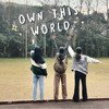 Own This World