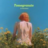 宝石般的石榴 Pomegranate