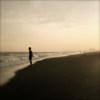 Water's Edge /  Moshimoss