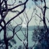 纯音乐