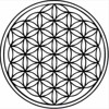 Trippin'