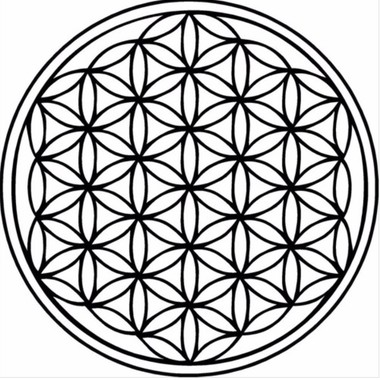 Trippin'