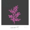 我还是没带你去看先知玛莉(Instrumental Version)