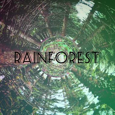 雨林.Rainforest