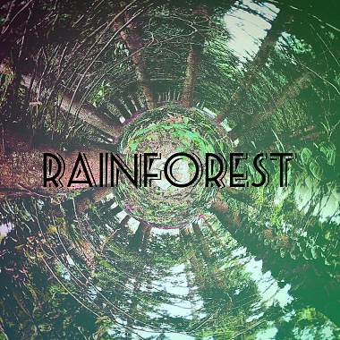 雨林.Rainforest