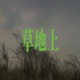 草地上