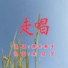 走唱
