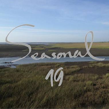 Seasonal 19 四季青春茶