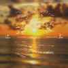 流光 Fleeting Light