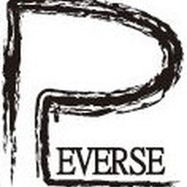 REVERSE 人格分裂
