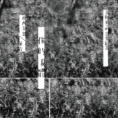 你的身体／叶青 -“滚动的诗”音乐纪实