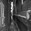 常常