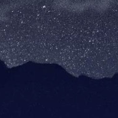 绽放的花