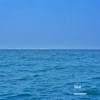 sea（demo）