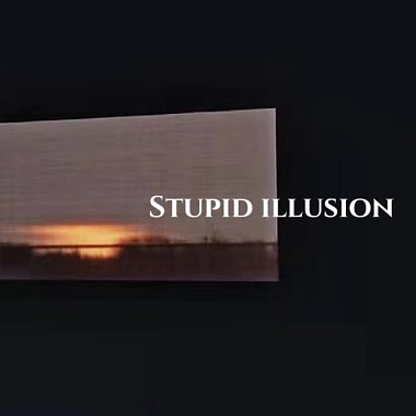 （stupid illusion）