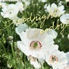 词代替 Goodnight Goodbye (demo)
