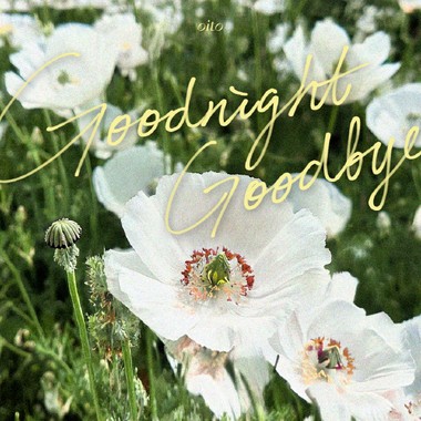 词代替 Goodnight Goodbye (demo)