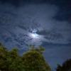 VaCY-MooNlighT (prod.by saka ayumu)