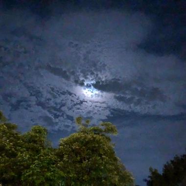 VaCY-MooNlighT (prod.by saka ayumu)