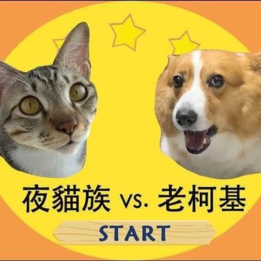 猫狗大战小河岸场-终极时空