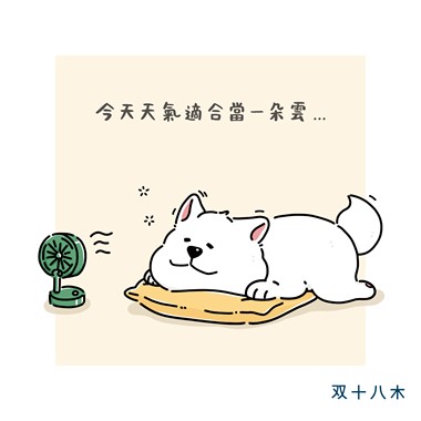 天天一朵云