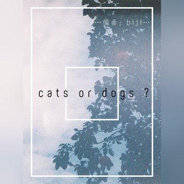 亦猫或狗
