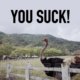 You Suck! (Demo)