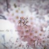 “桜”