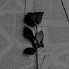 暧昧不清 ft.Zn