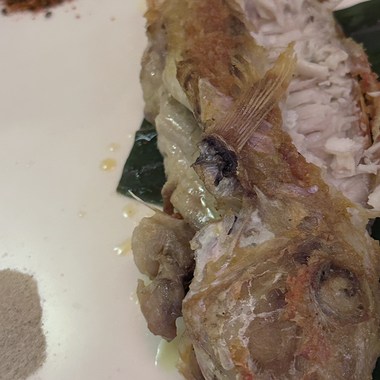 别说对不起demo