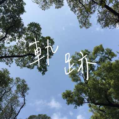 轨迹
