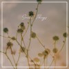 Small Things (demo)