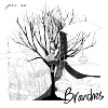 Branches