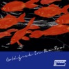 Goldfish in the Pool