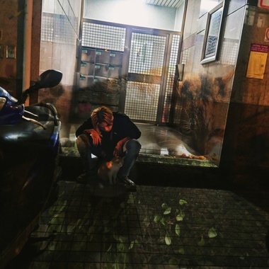 迎合别人的小丑