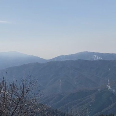 未(试做板）