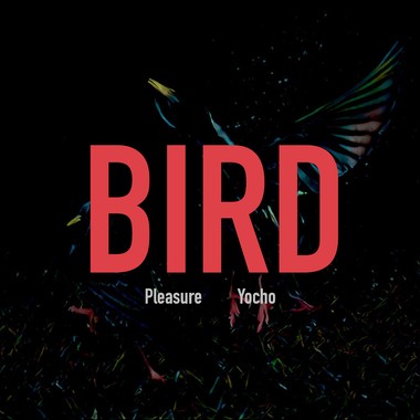 09.BIRD(Tones Rap Remix)