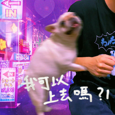 涩涩