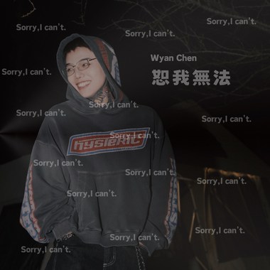 恕我无法