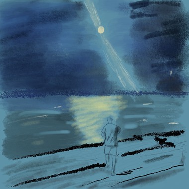 朋克山竹 - meteor